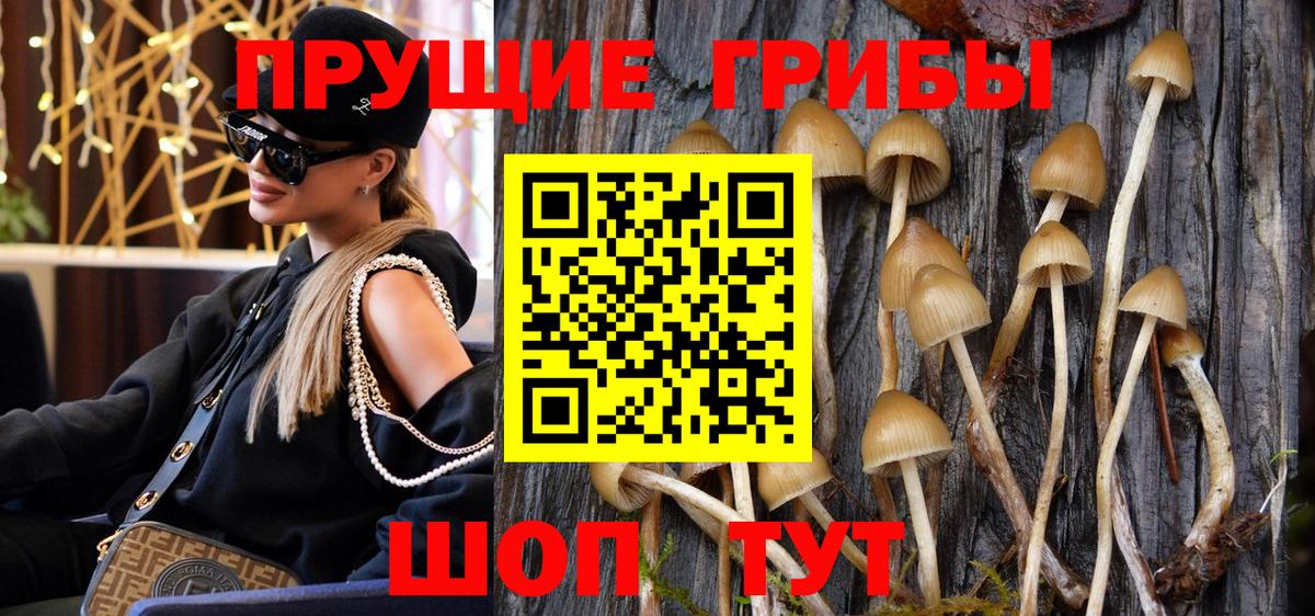 Сланцы  Галлюциногенные грибы мухоморы  Вход с VPN  Псилоцибиновые грибы Cubensis 